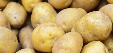 POTATOES 1