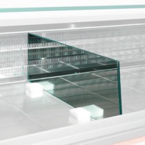 SEPERATION DISPLAY IN GLASS   SPCR-73
